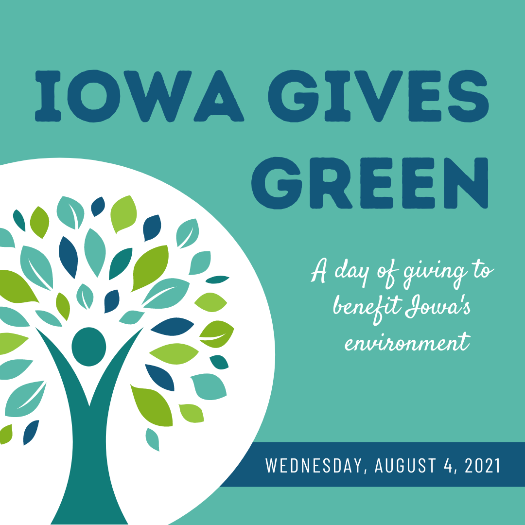 Reflecting on Iowa Gives Green Hope for the Future Iowa